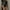 Black, variant on Pavied Jumpsuits for Women,Rompers for Women,Women's Seamless Long Sleeve Bodysuit Crew Neck Basic Stretch T Shirt Top,Overalls for Women,One Piece Jumpsuits,Outfits for Women,Fall Outfits,Beige L