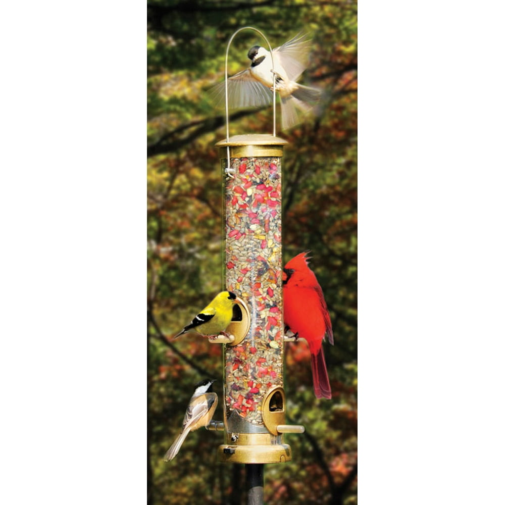Cole's Terrific Tube Wild Bird 1.25 Polycarbonate Bird Feeder 4 ports