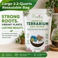 thumbnail image 3 of Creations by Nathalie Succulent & Cactus Soil Blend: Terrarium Planting Mix - Fast Drainage, 3 of 6