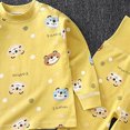 thumbnail image 4 of NOLDARES Toddler Baby Boy Fall Winter Outfits Color Block Long Sleeve Sweatshirt Pullover Pants 2Pcs Clothes Sets Size:3-4 Y,Yellow, 4 of 4