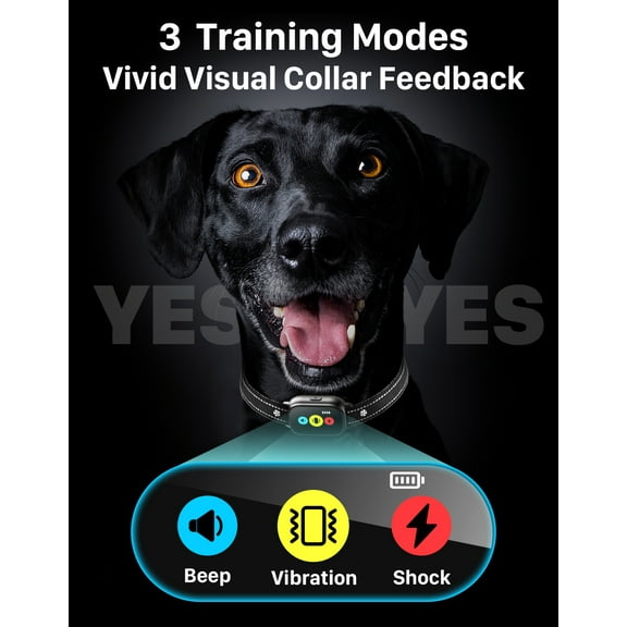 Dog Collars Training Equipment Home And Electronic Collar