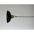 thumbnail image 2 of JL Styles Inc. Modern 1-light Pendant Light Black, 2 of 6