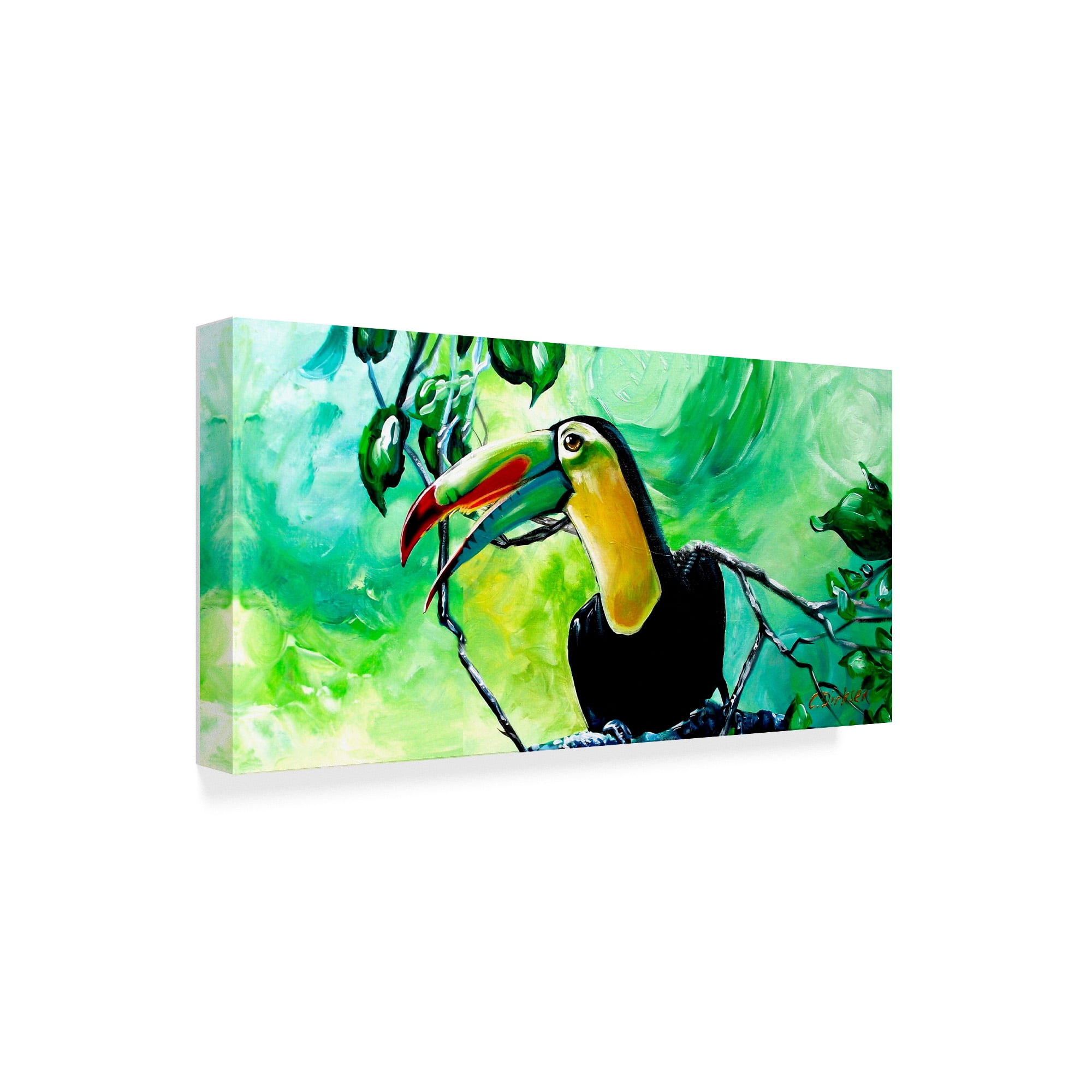 Trademark Fine Art 'Toucan Portrait' Canvas Art by Cherie Roe Dirksen