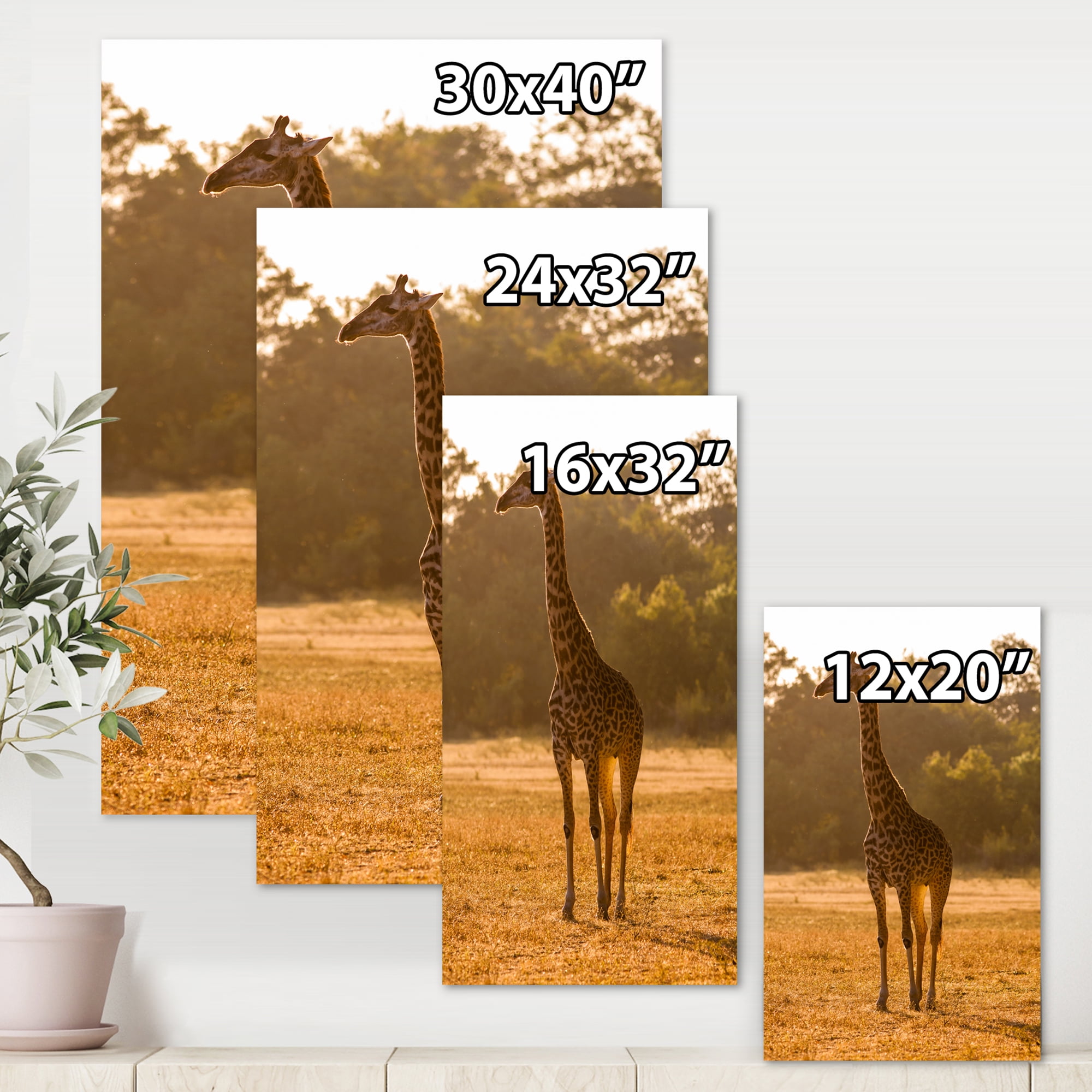 African Giraffe In The Wildlife II 12 in x 8 in Photography Canvas Art Print, by Designart