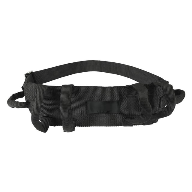 TISHITA Baosity Nursing Walking Lift Transfer Board Gait Belt with Handles Safet Patient