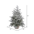 thumbnail image 3 of Vickerman A156630 Pin de Sable Dépoli de 36 x 28 Po avec 206 Pointes, 3 of 3