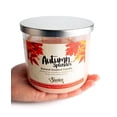 thumbnail image 3 of Autumn Splendor All Natural 3 Wick Candle - Made with Responsibly Sourced Soy and Essential Fragrance Oils - Phthalate & Paraffin Free, Vegan, Non-Toxic, 3 of 6