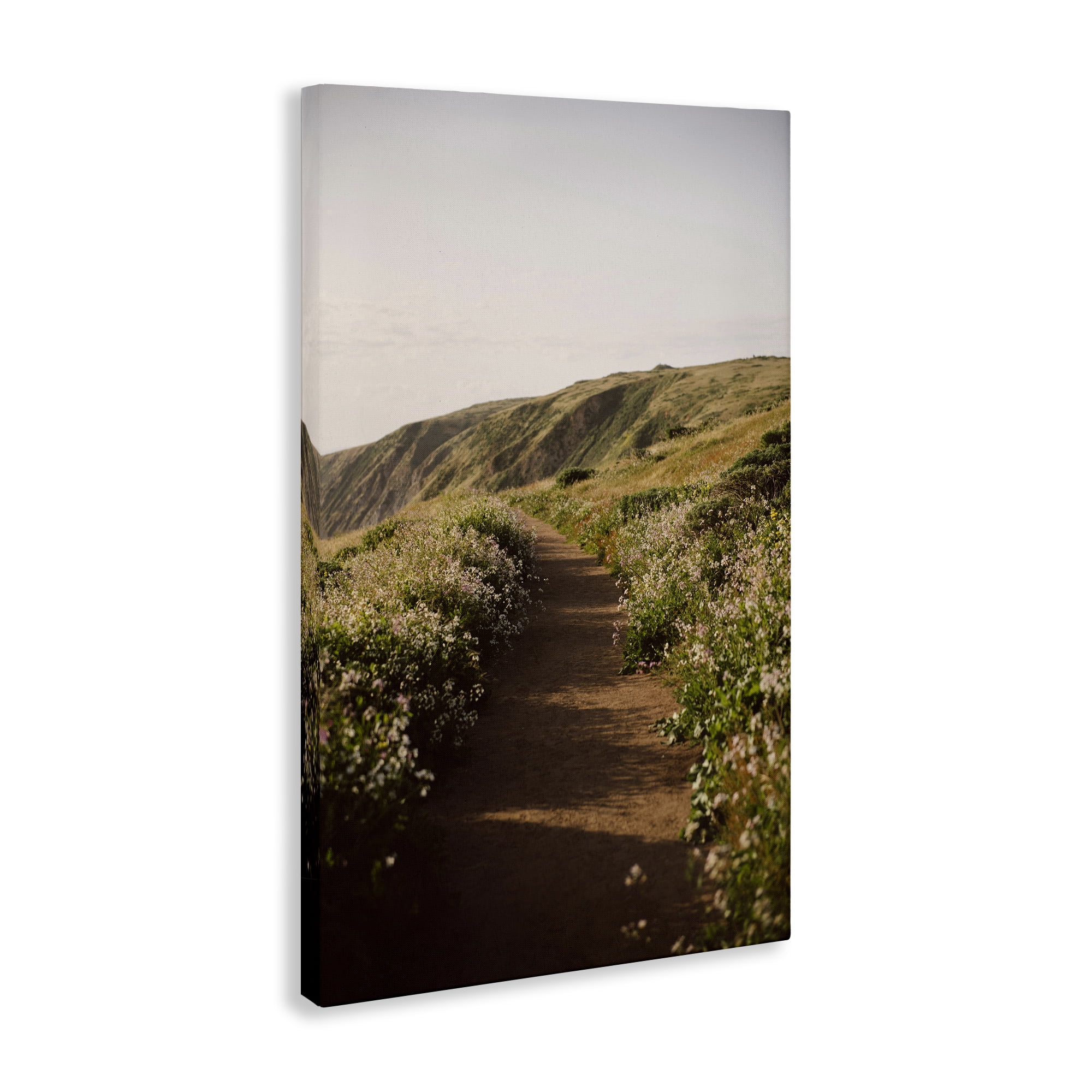 Stupell Industries Path by Beach Coast Landscape & Nature Photography Wrapped Canvas Art Print Wall Art, 20 x 30