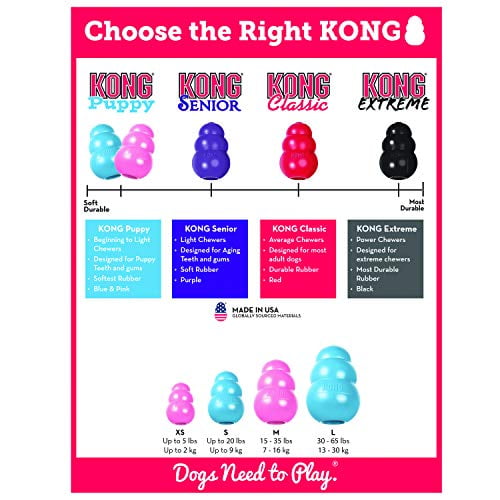 Kong for small clearance dogs