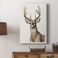 thumbnail image 5 of Handsome Whitetail I Premium Gallery Wrapped Canvas - Ready to Hang, 5 of 9