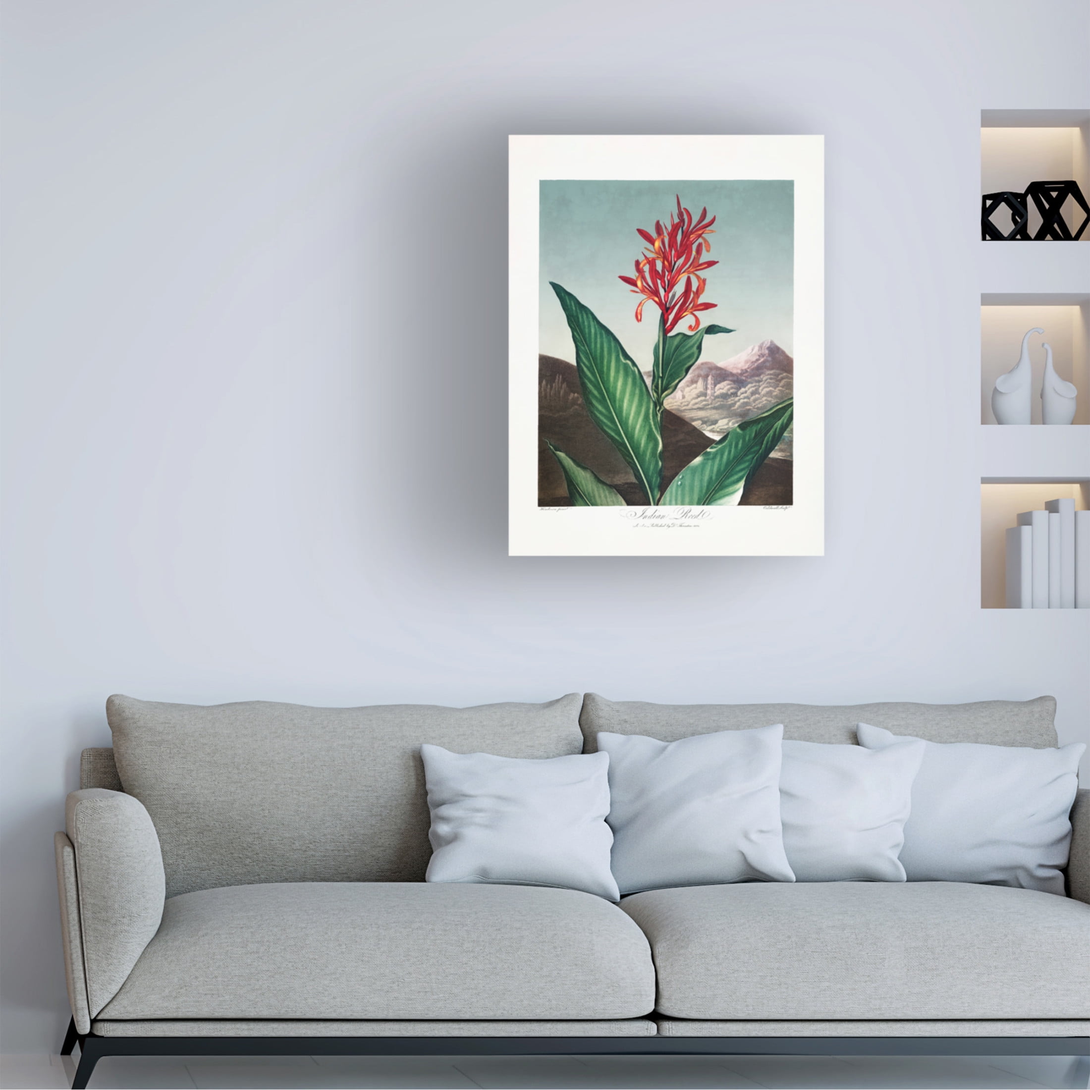 Trademark Fine Art Pictufy  Indian Reed from The Temple of Flora 1807 Canvas Wall Art