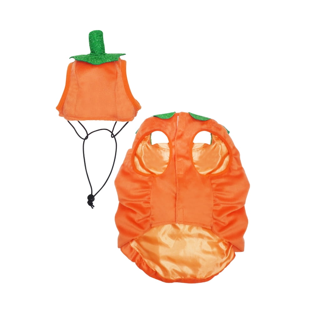 Vibrant Life Vl Hw Costume Pumpkin Small