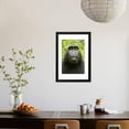 thumbnail image 3 of Monkey Selfie Framed Print Wall Art by David Slater Sold by Art.Com, 3 of 5