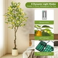 thumbnail image 2 of 6 ft Artificial Lemon Tree Indoor, Pre Potted Faux Lemon Tree with Realistic Fruit and Lifelike Leaves, Fake Lemom Plant with 100 Lights for Indoor Home Decor Office Living Room, 2 of 9
