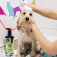 thumbnail image 6 of Precious Tails 2 in 1 Pet Shampoo and Conditioner with Oatmeal Aloe Vera Cucumber 1000ml, 6 of 7