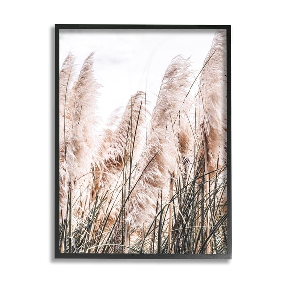 Stupell Industries Windblown Reeds Photography Botanical & Floral Photography Black Framed Art Print Wall Art, 11 x 14