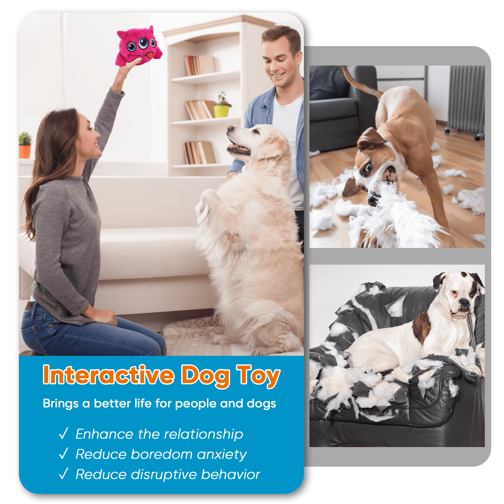 Top Interactive Toys For Bored Dogs - PetlifeCA