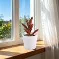 thumbnail image 3 of Artificial Potted Plants with White Plastic Pots for Home and Office Decor, Small Flower Arrangements for Indoor Spaces, 3 of 5