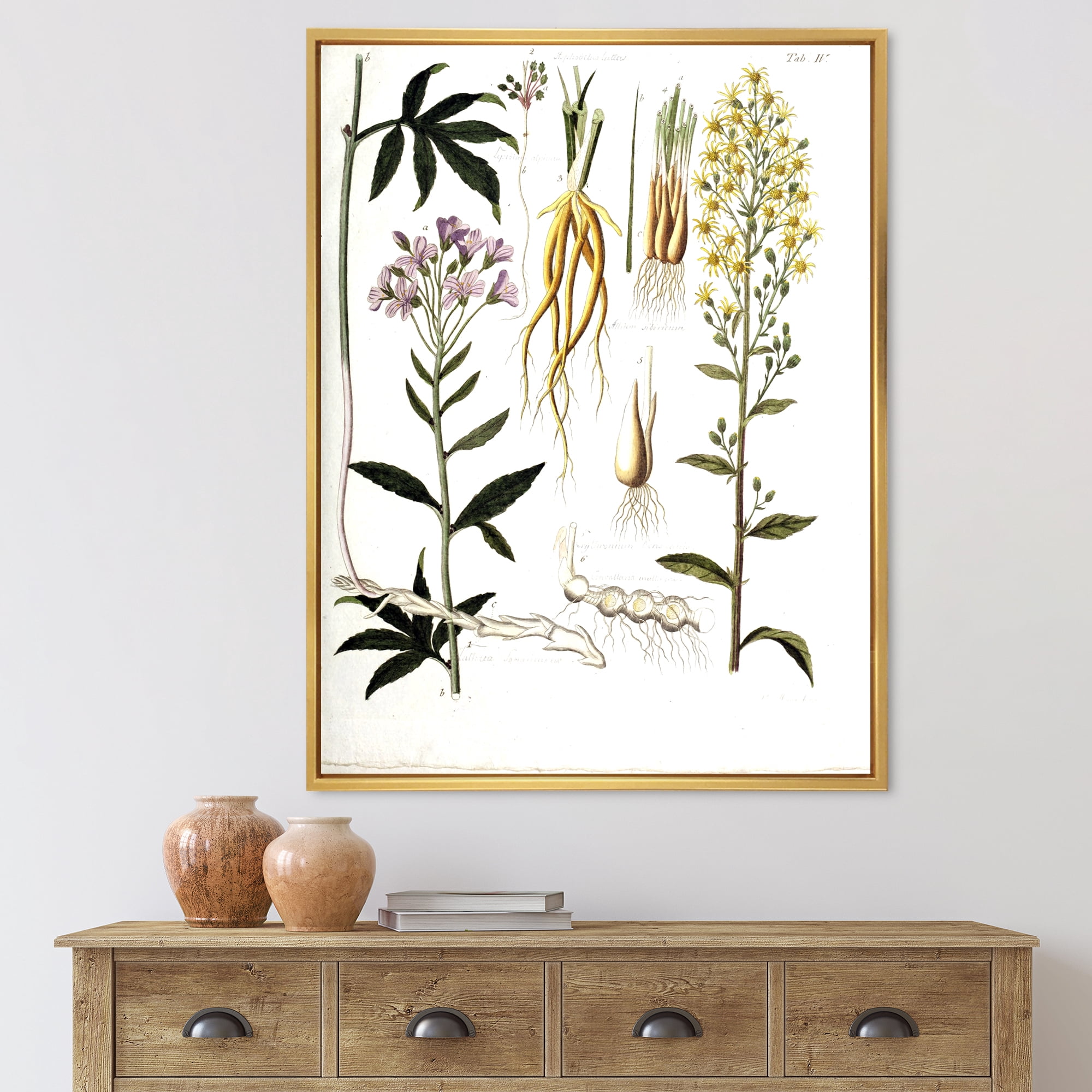 Designart 'Ancient Plant Life VIII' Farmhouse Framed Canvas Wall Art Print