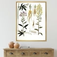 thumbnail image 2 of Designart 'Ancient Plant Life VIII' Farmhouse Framed Canvas Wall Art Print, 2 of 5