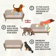 DOG REPELLENT for Couch Stop Chewing Dog Spray Potty Training Dog