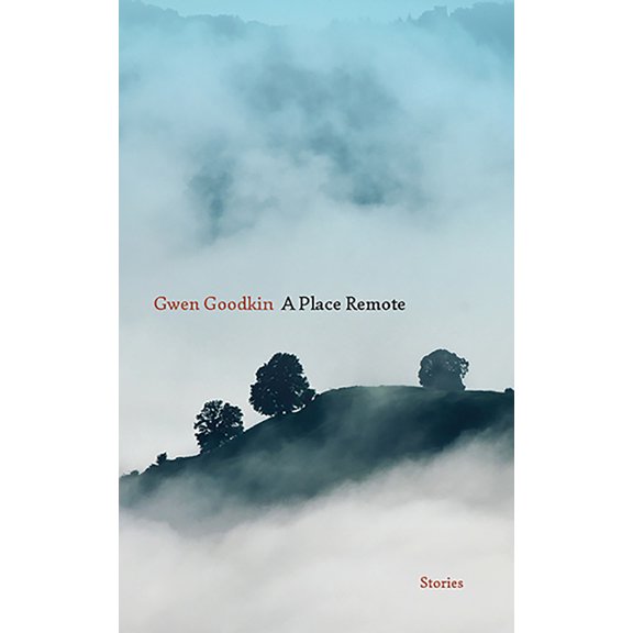 A Place Remote: Stories, (Paperback)