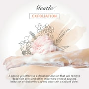 Spongentle Loofah Bath Sponge Loofa Body Sponge Shower, Exfoliating Body Scrubber, Gorgeous Colors, 4 Pack, Large