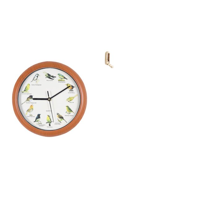 Reloj de pared,Reloj de pared con pájaro cantor Relojes de pared con pájaros,Gancho de pared plegable,Ganchos de pared plegables Ganchos de pared para abrigos,Gancho de pared para