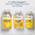 thumbnail image 6 of Solaray Calcium Citrate 1000mg | Natural Orange Flavor | Teeth & Bone Health, Nervous, Muscular & Cardiovascular System Support | Vegan | 60 Chewables, 6 of 6