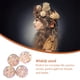 thumbnail image 5 of Sonducket Suministros de cuentas de cristal para mujer, colgante de mano de obra, adorno multiusos, accesorios de joyería, Kit de tachuelas ampliamente Ropa, zapatos y accesorios Miscelánea tipo 9 Sonducket AP010749-09B, 5 of 6