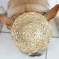 thumbnail image 1 of Baohd Chapeau de Paille pour Chiots Mini Animaux de Compagnie 14cm 1Set, 1 of 6