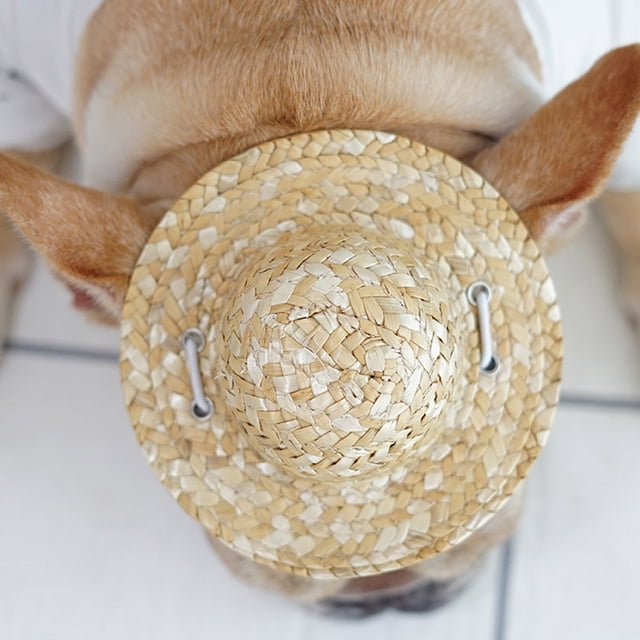 Baohd Chapeau de Paille pour Chiots Mini Animaux de Compagnie 14cm 1Set