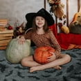 thumbnail image 5 of Halloween Bat Blanket, Halloween Flannel Throw Blankets, Halloween Blankets and Throws, Spooky Blanket, Grey, 50 x 60 inches, 5 of 6