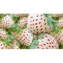 Fruit Seeds for Planting - Garden Fruit Seeds (White Strawberry - 100 Seeds)