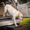 thumbnail image 1 of Pet Ramp Step Otto Step ayuda a los perros a entrar y salir del coche, 1 of 7