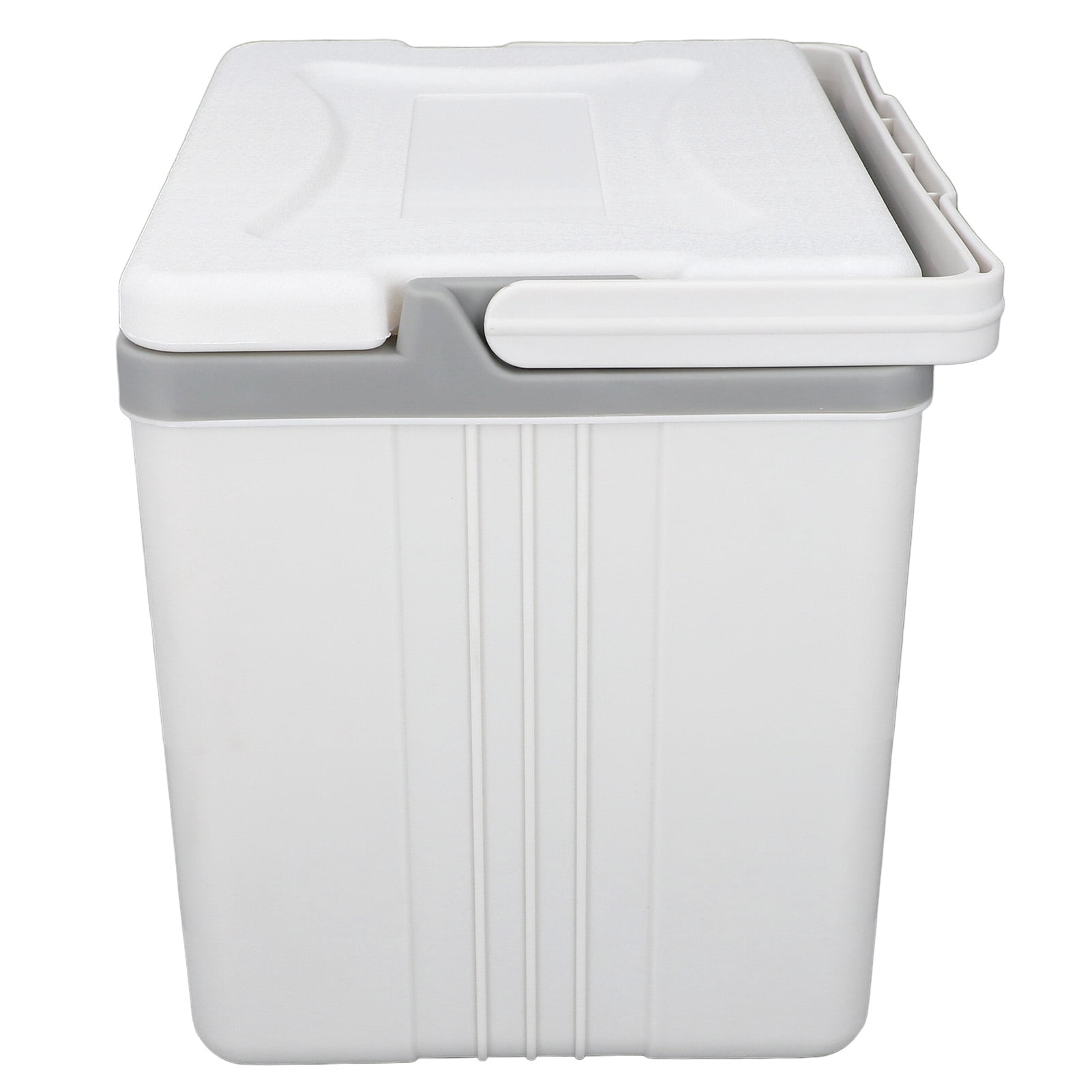 BIMZUC 10L Hard Sided Cooler Box High Performance Insulated Ice Chest with Heavy Duty Handle for Outdoor Camping Picnic Fishing Beach Drinks and Beer, White (11.4x8.9x10.4 Inches / 29x22.5x26.5 cm)
