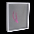 thumbnail image 1 of Soporte de Joyas Yinane Marco de visualización 3D Blanco, 1 of 8
