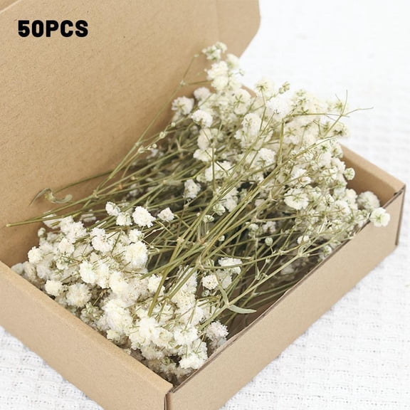 50Pcs Real Preserved Baby's Breath Flowers, Mini White Gypsophila Dried Bouquets for DIY Resin, Wedding Decor, Scrapbook & Gift Wrapping
