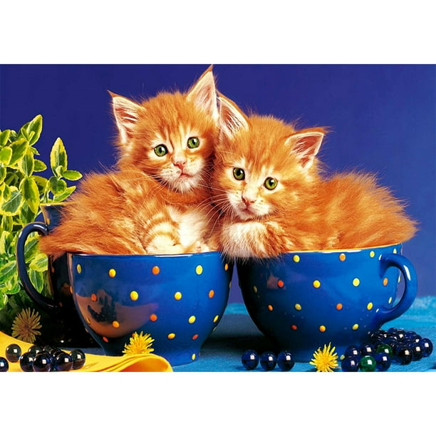 Pintura de diamante (DE4821) 5D cuadrado DIY gato bordado Animal arte imágenes 30x40cm FLhrweasw Nuevo