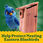 Pennington Classics Cedar Bluebird House With Predator Guard