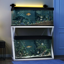 Modern Aquarium Stand Designs: Stylish Ideas for Every Home