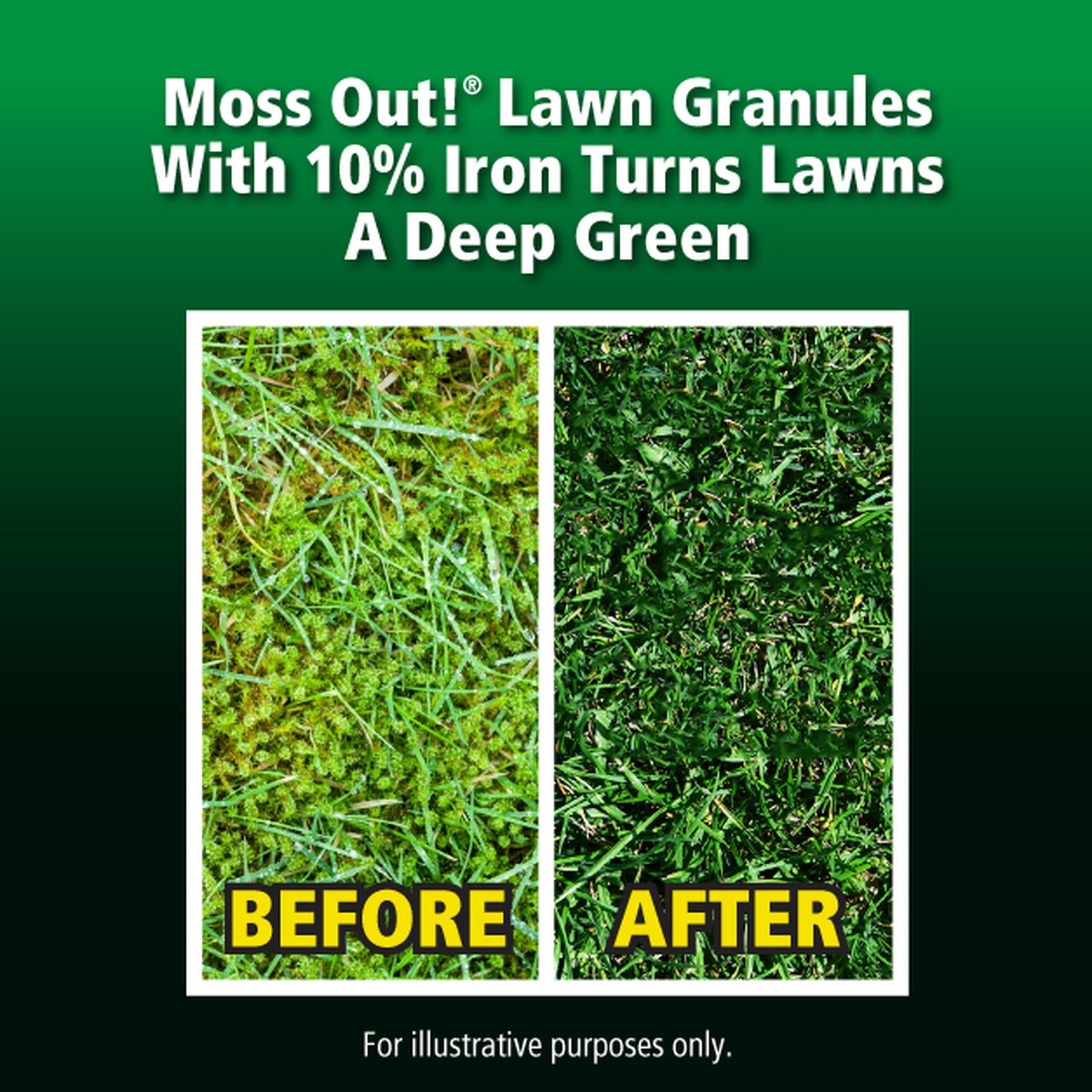 Lilly Miller Moss Out! for Lawns with 10% Iron, Moss Weed Killer, 20 lb. 1 Count