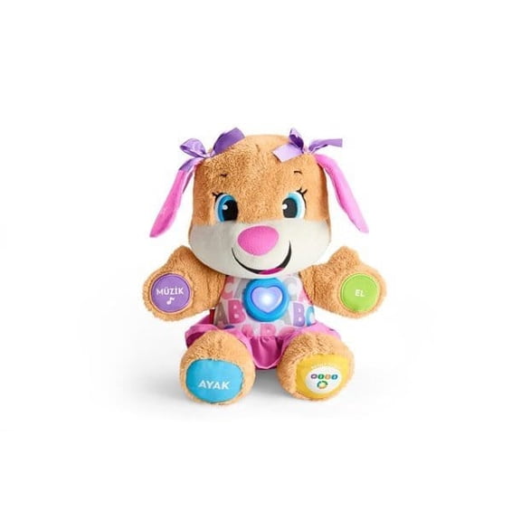 Fisher Price Age Development Educational Puppy's Sister FPP83