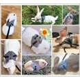 thumbnail image 3 of Arnés de disfraz ajustable de conejo, juego de arnés y correa para animales pequeños para animales pequeños, conejos, hámsteres, gatos, gris, L, 3 of 5