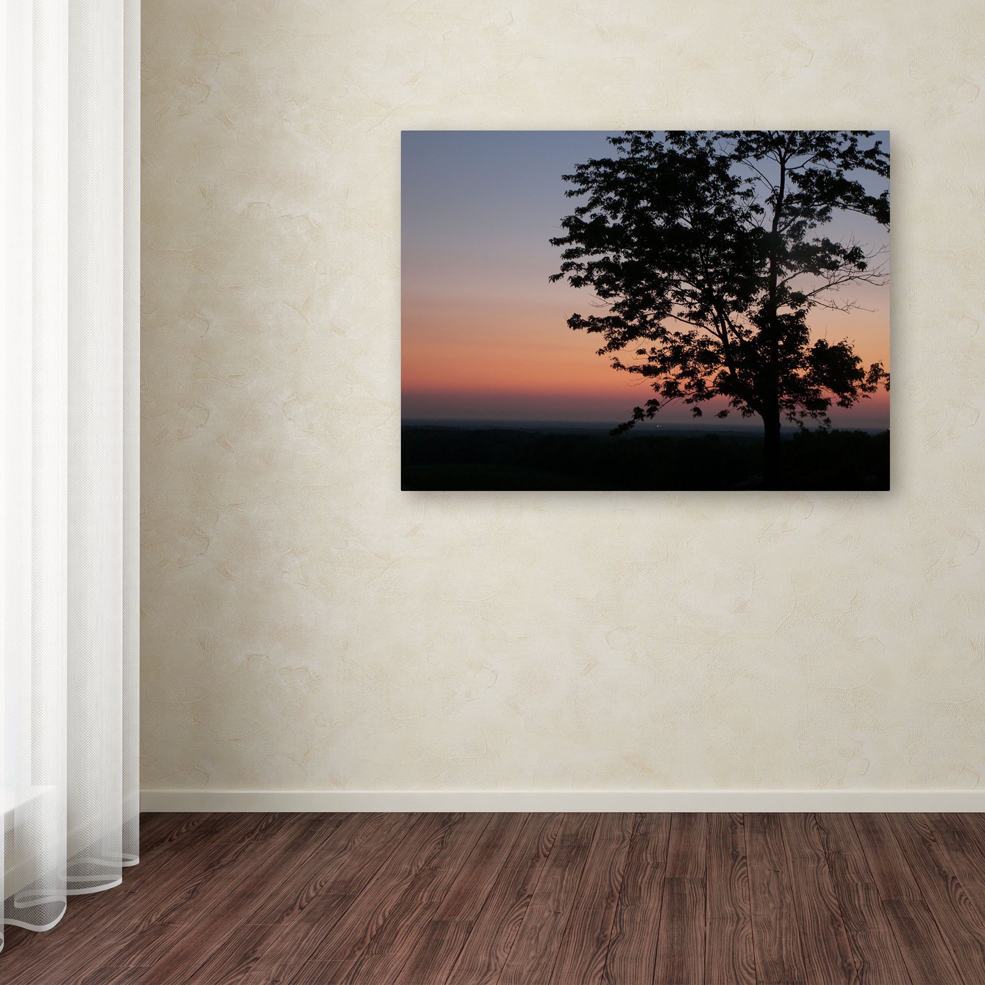 Trademark Fine Art "Soothing Symmetry" Canvas Art by Monica Fleet
