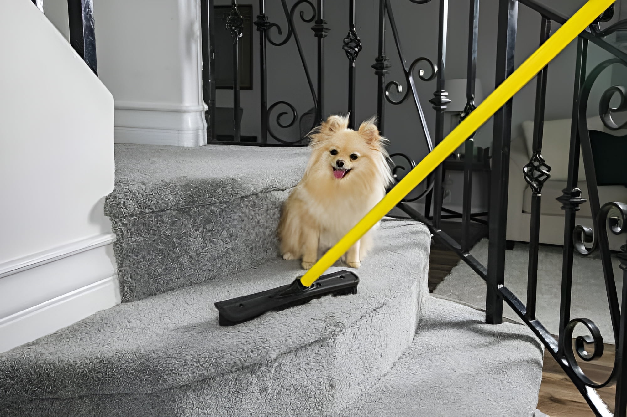 Evriholder Fur Remover Broom, SW-250I-FR