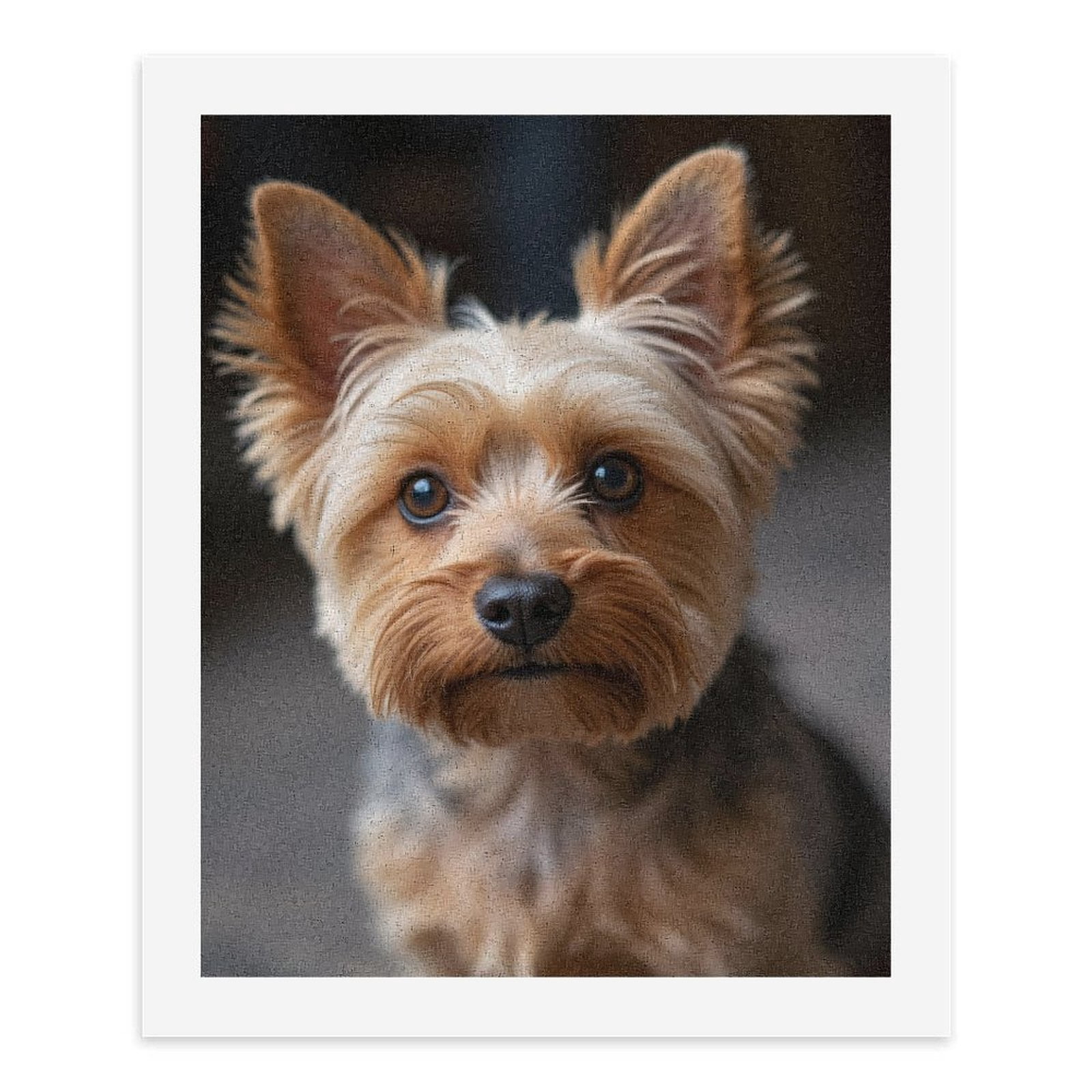 Paint by Numbers Kit for Adults, Brown Eared Yorkie Face Closeup Paint by Numbers, Easy Paint by Numbers Kit for Adults Beginner, DIY Adult Paint by Number Kits on Canvas, 12x16in Home Decor