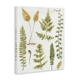 thumbnail image 4 of Stupell Industries Varied Fern Leaves Botanical & Floral Painting Gallery Wrapped Canvas Art Print Wall Art, 24 x 30, 4 of 8