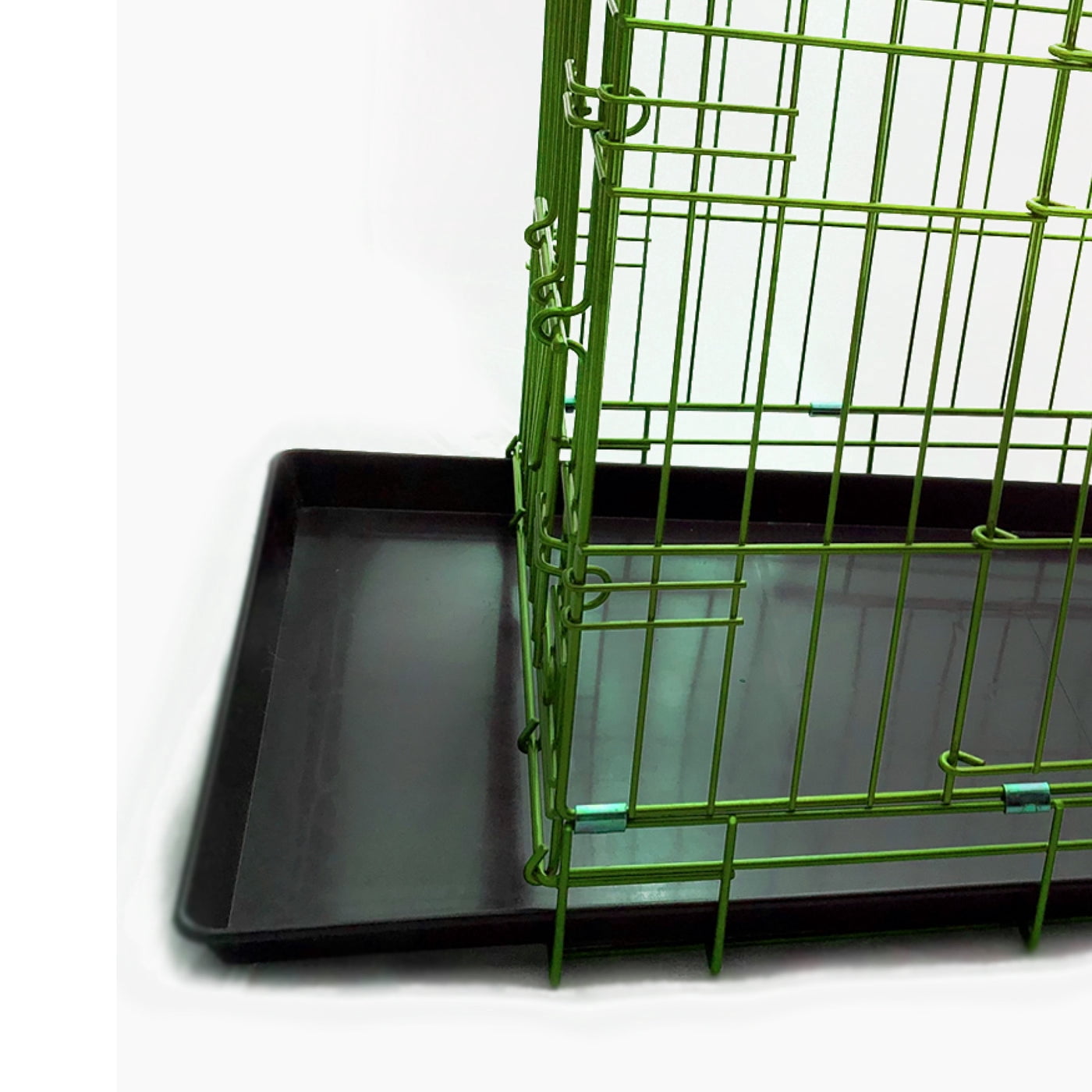 Pet Expressions 36 Inch Green Colored Metal Wire Dog Crate - Available in Various Sizes and Colors