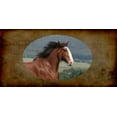 thumbnail image 2 of Clydesdale Horse Photo License Plate, 2 of 2